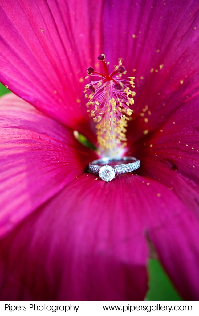 Christy and Rich - engagement session, Park of Roses Columbus, Ohio