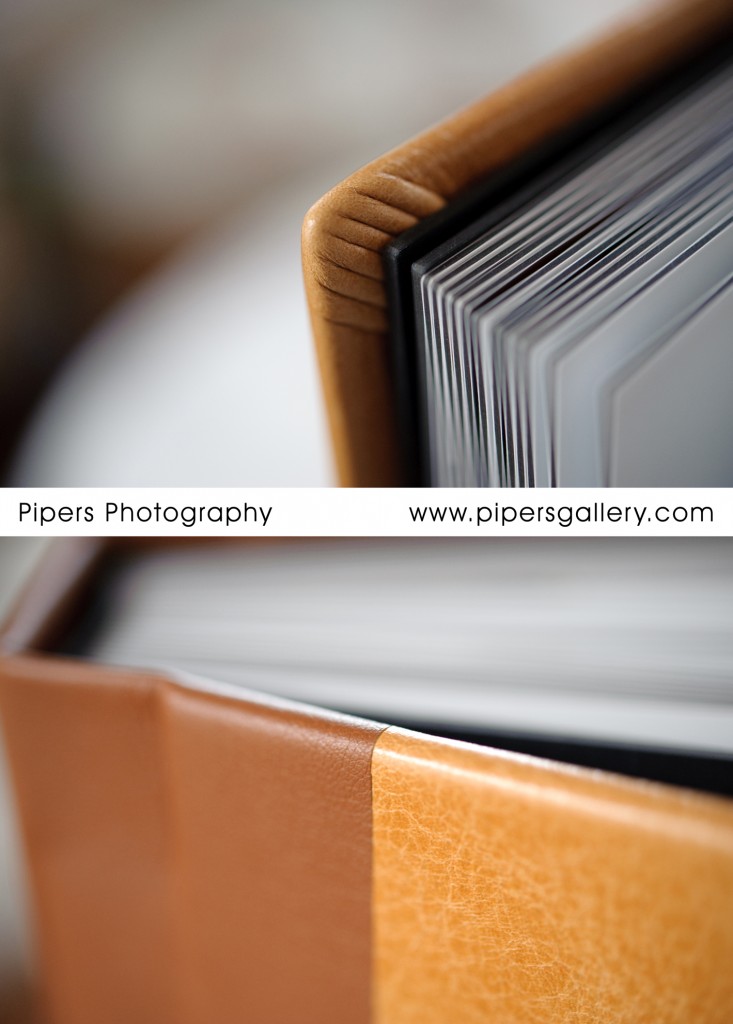 Sample Album - 10x10 Flushmount Album.  Accent Leather:  Autumn,  Back cover/spine leather: Saddle