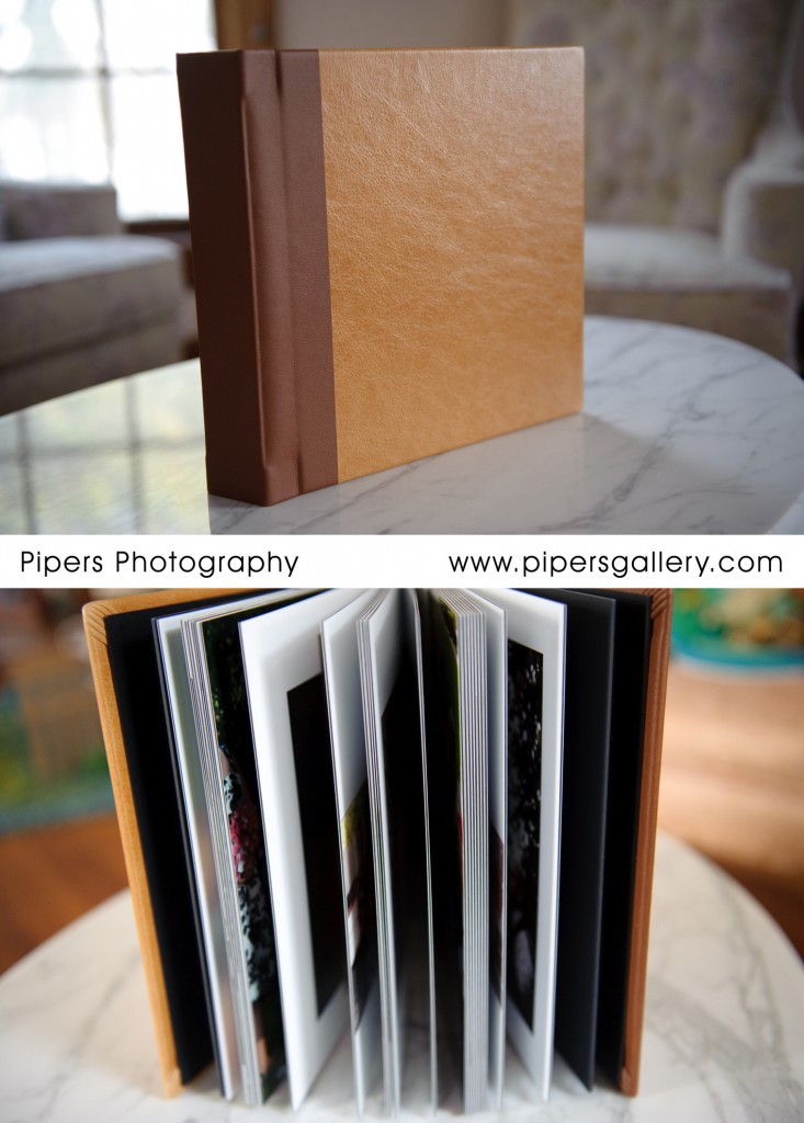 Sample Album - 10x10 Flushmount