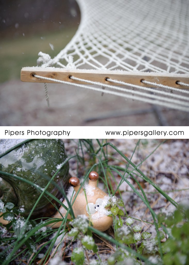 Hammock and my snail getting some snow on them