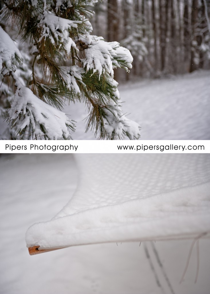 Snow on the trees... and my hammock... covered even more with snow then the last time.