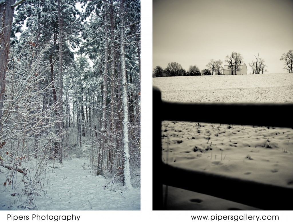 More fun with colors on snow scenes - the trail into the woods behind my house. The neighbor's yard and my fence yet again.