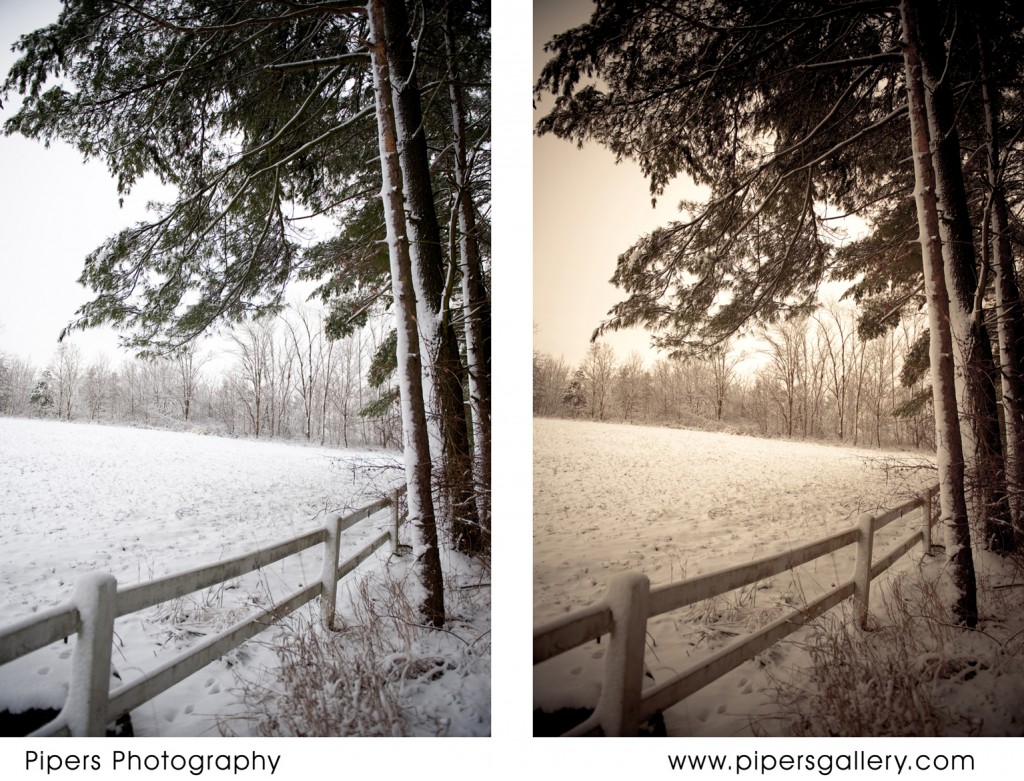 Original on left  -  Color toned on right  - I love doing brown tones on the white, makes it look older and more antique.