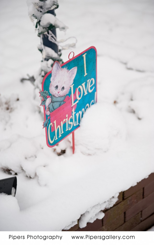 I Love Christmas, and my poor, poor, pumpkin under all that snow!