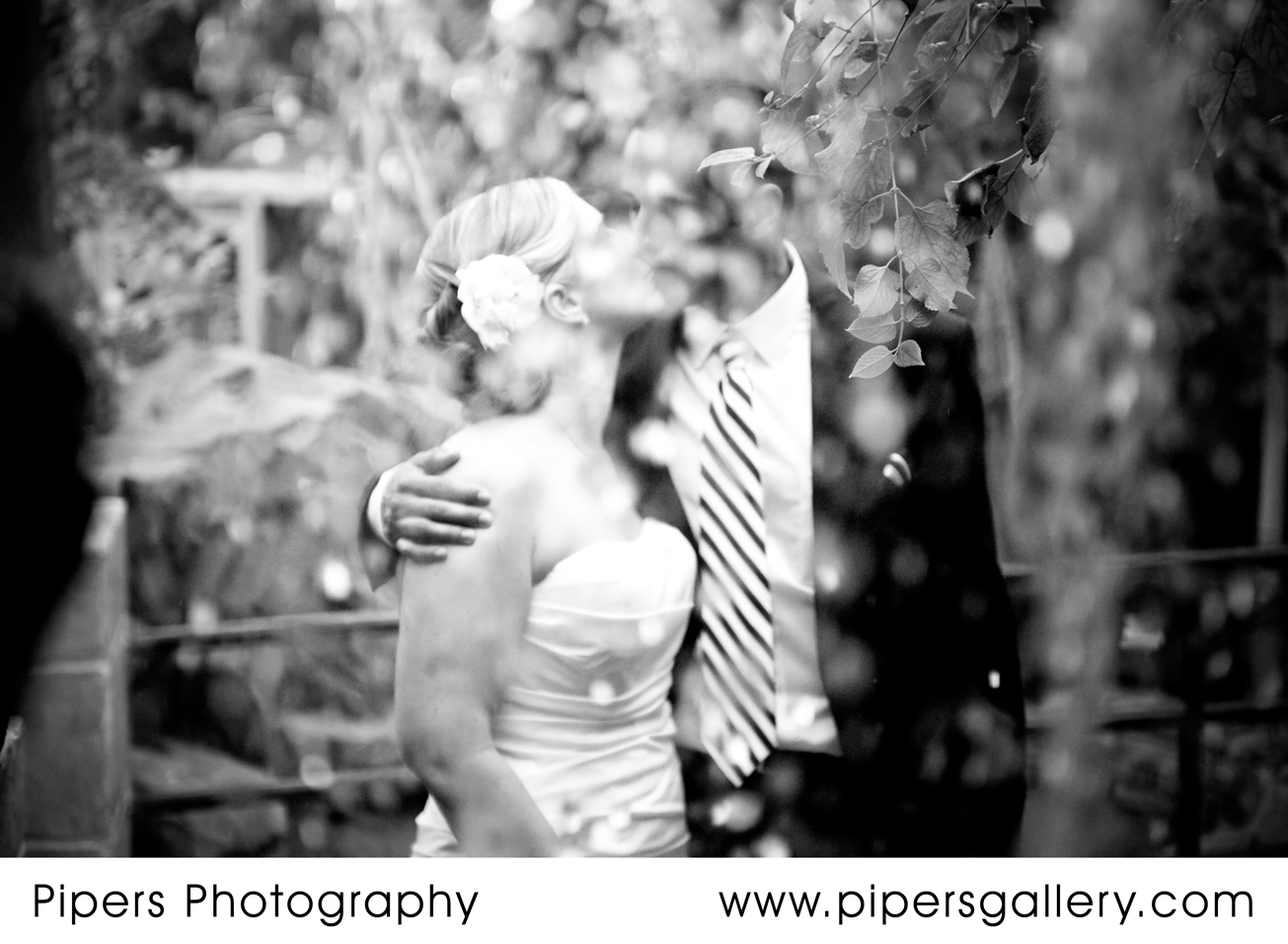Dan and lisa - May 2, 2010 Franklin Park Conservatory Wedding
