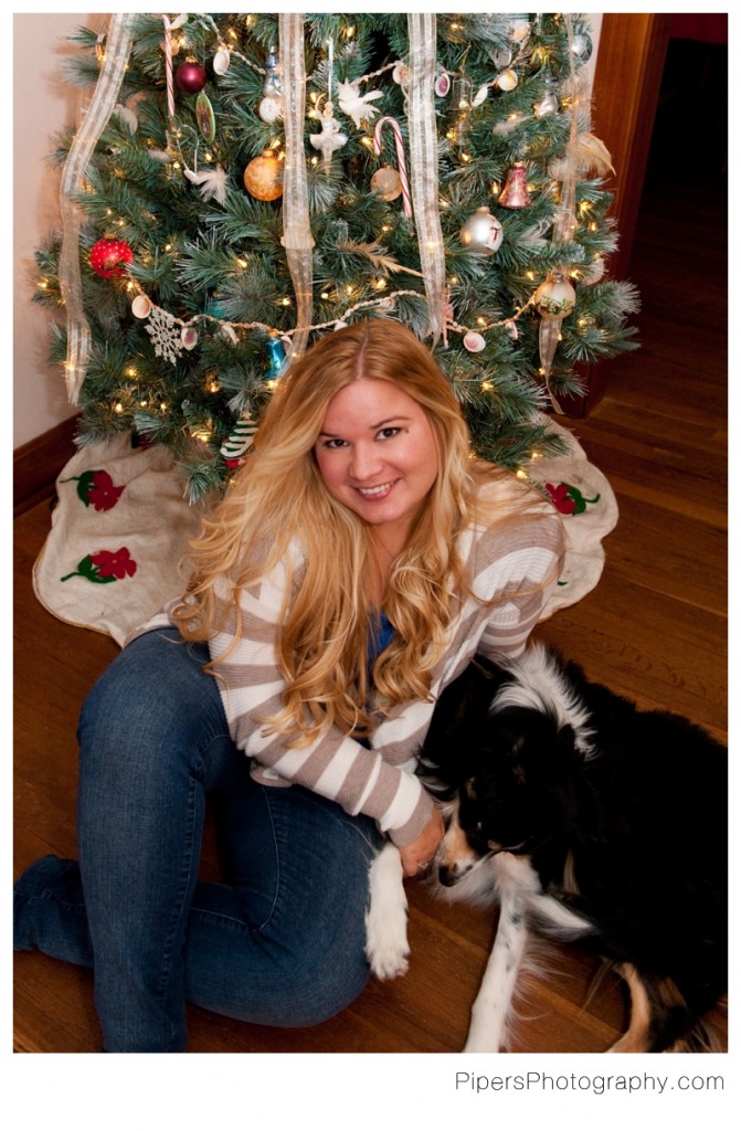 Christmas Picture with border collie 