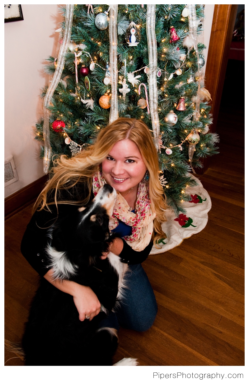 Christmas picture with a border collie