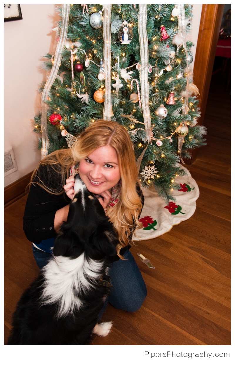 Christmas picture with a border collie outtake