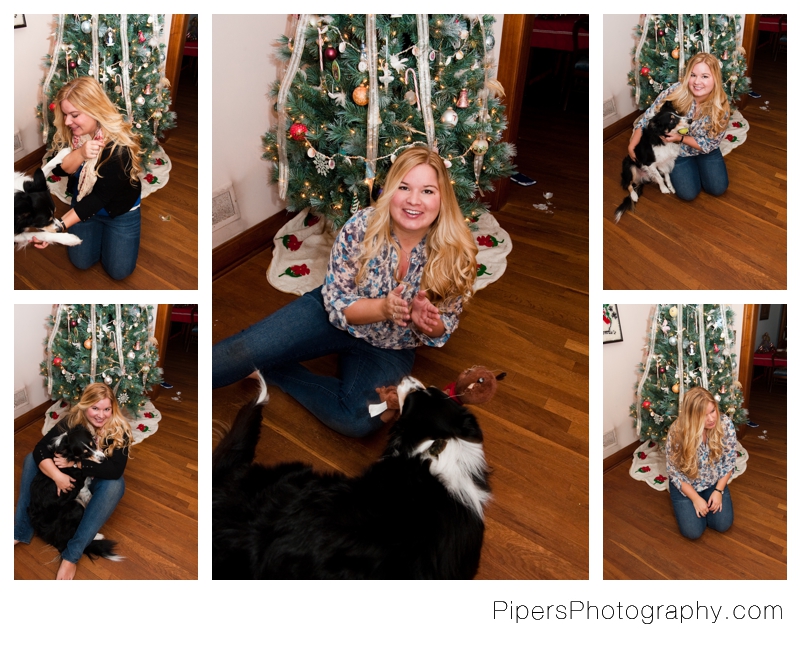Christmas picture with a border collie outtake 
