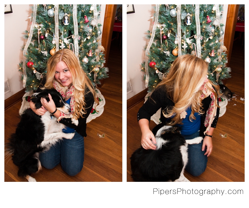 Christmas picture with a border collie outtake 