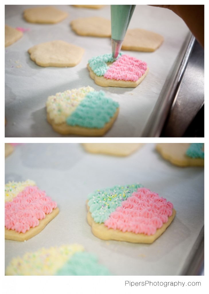 sugar cookie photos 