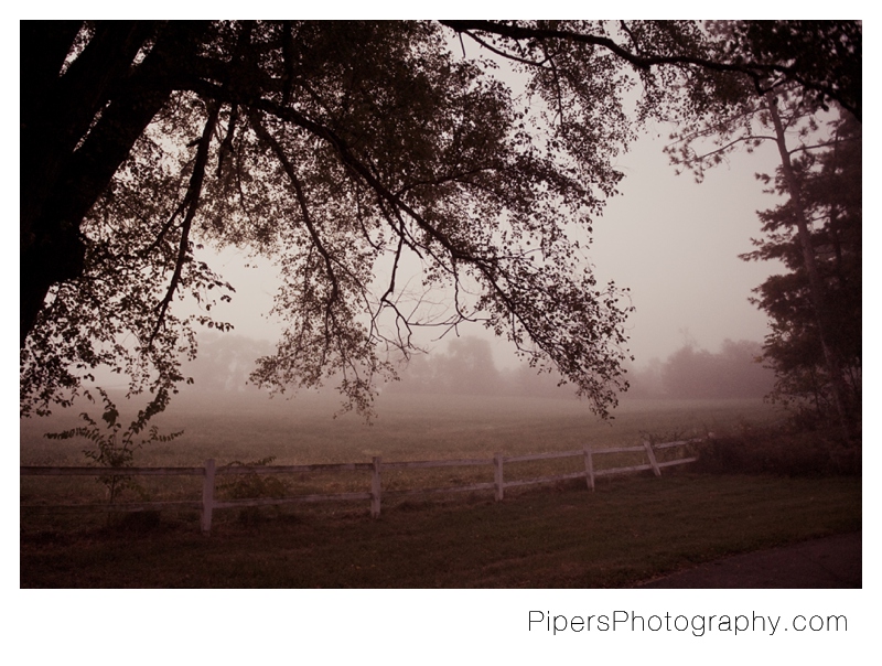 Creepy Fall picture