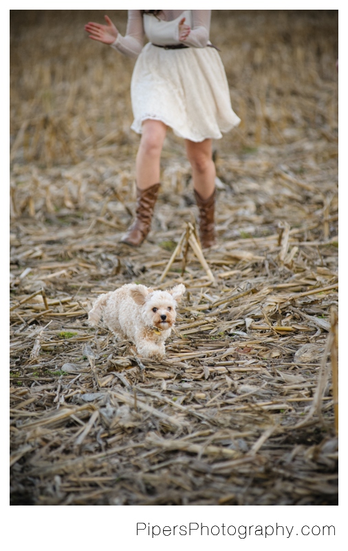 An outdoor country inspired engagement session in Sugar Grove Ohio in corn fields and bridges in the town of Sugar Grove Ohio by Pipers Photography Krista Piper 