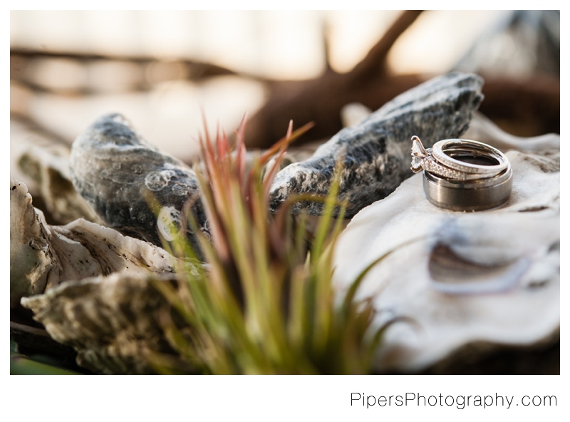 8 Natural Oceanfront Beach Wedding rings on Hatteras Island in The Outer Banks North Carolina photos