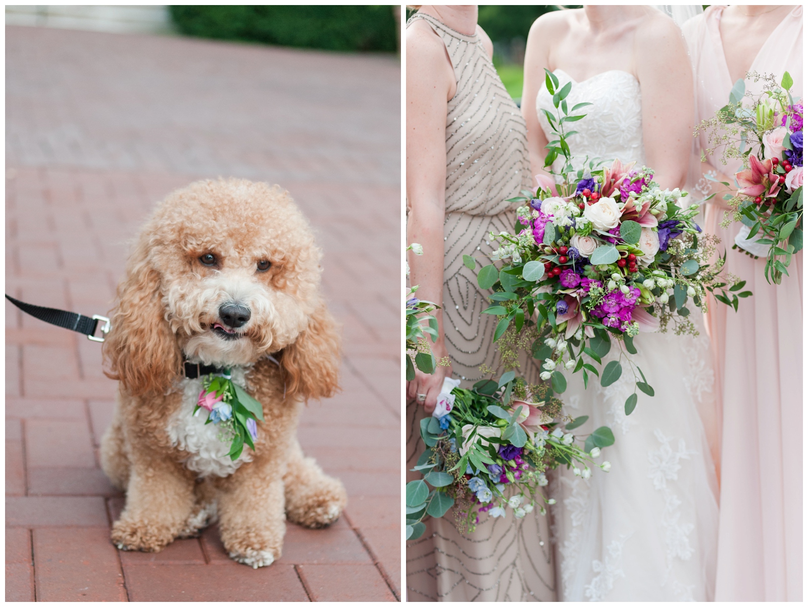 Franklin Park Conservatory Wedding Venue The John F. Wolfe Plam House wedding ceremony. Wedding ceremonies in the bridal garden with a reception in The Grove and The Palm House. Best places to have your wedding if it rains. Golden doodle dog and blush bridesmaids dresses