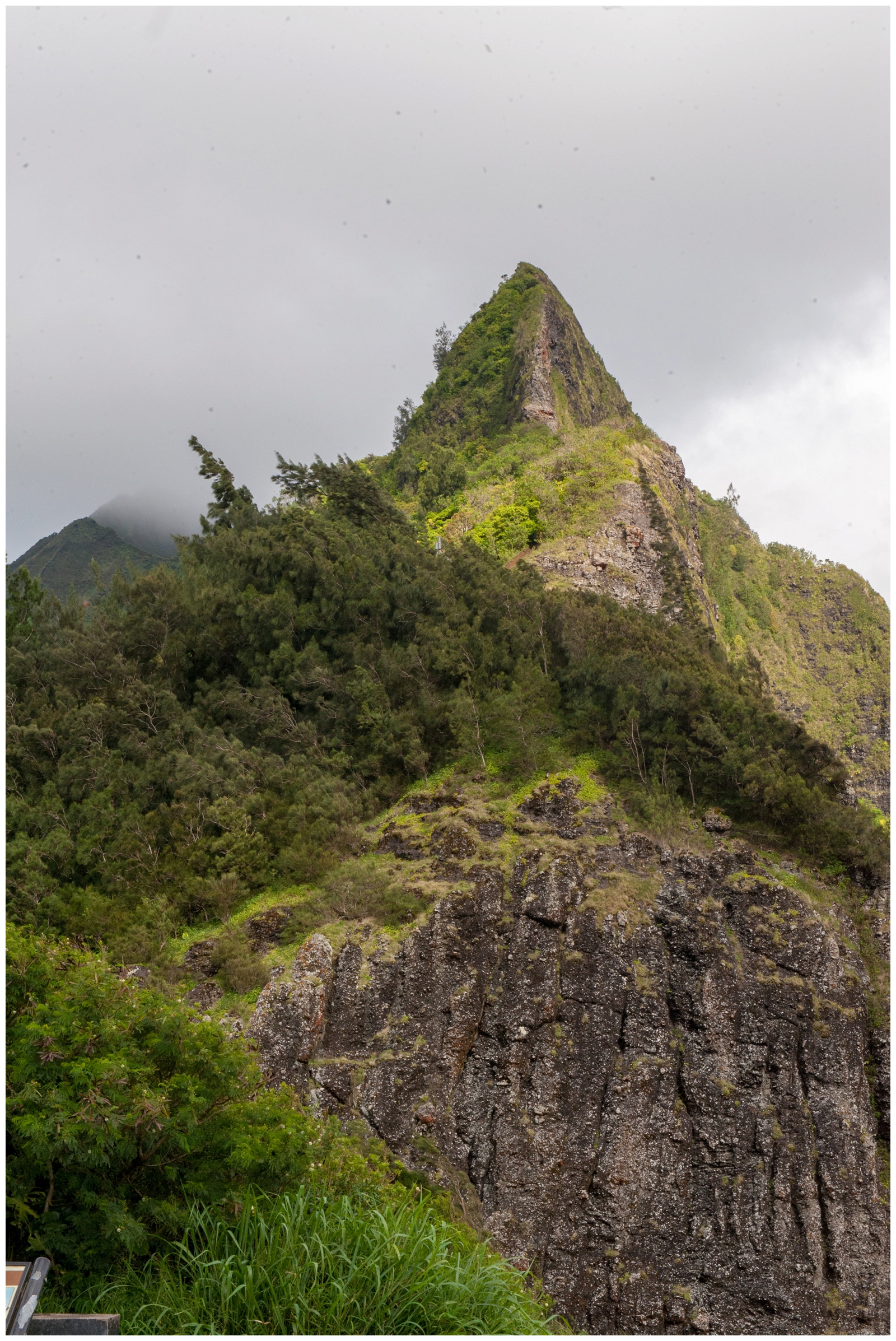 vertical photo of Pali Lookout with the cliff and bees 