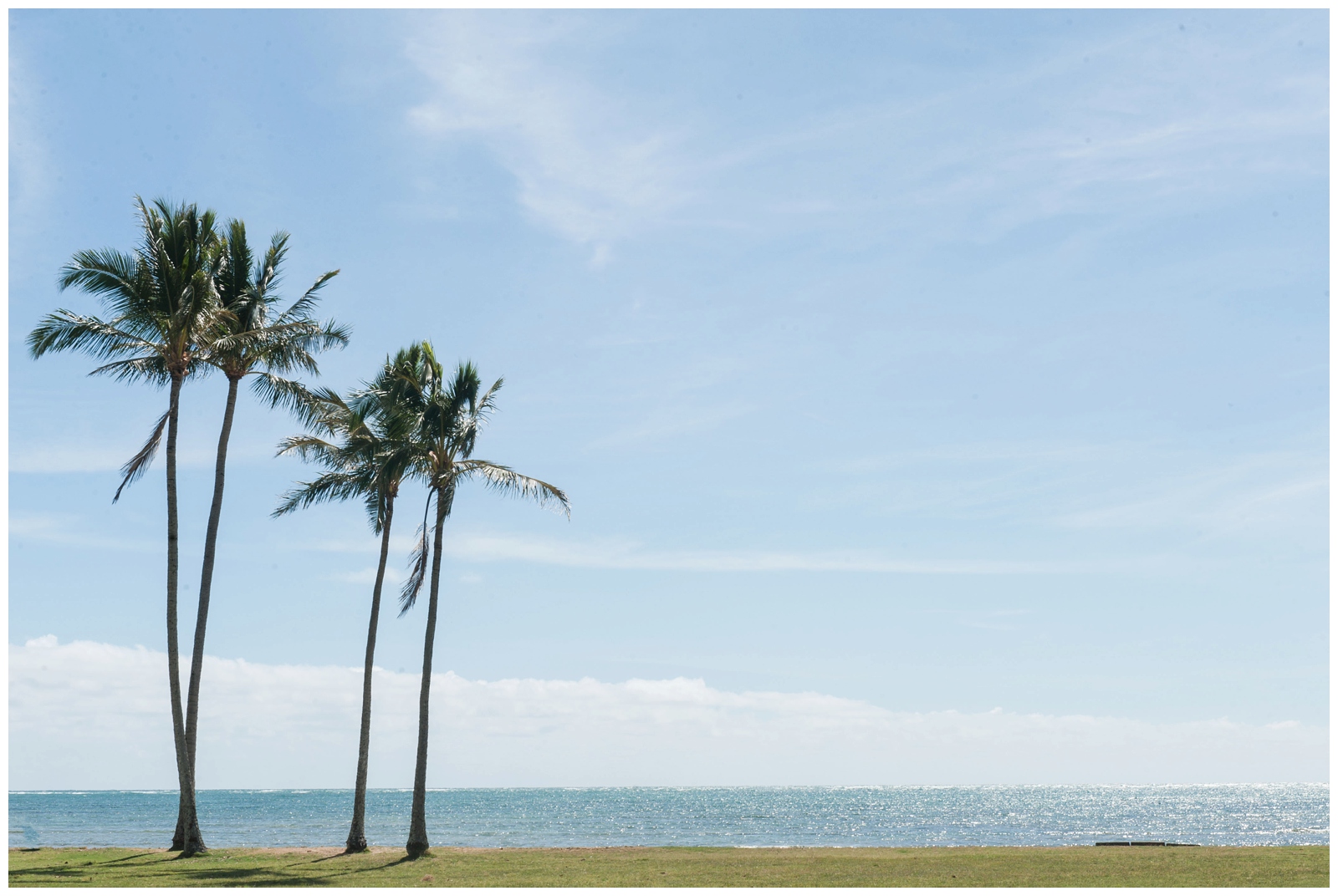 four palm trees at Kualoa Beach Park oahu hawaii Oahu Hawaii Honeymoon Vacation