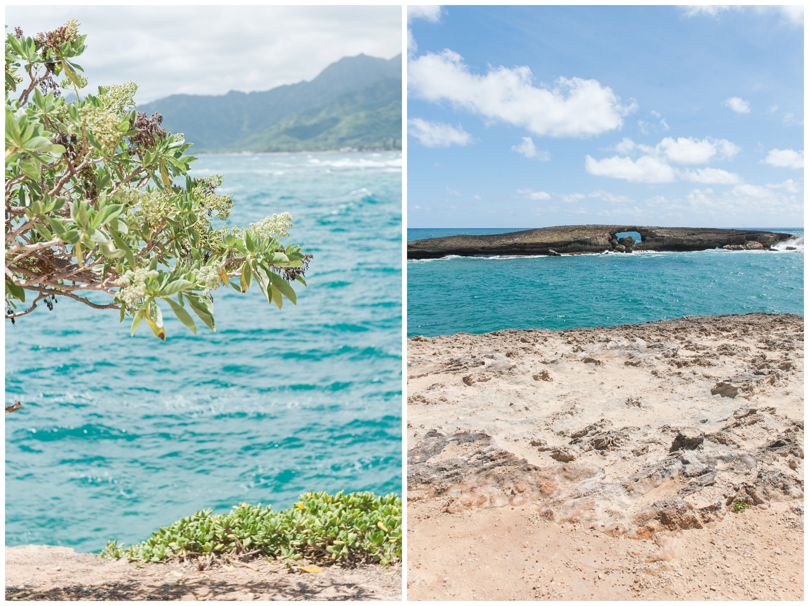 La'ie Point-Laniloa on oahu hawaii and brush by the ocean Oahu Hawaii Honeymoon Vacation