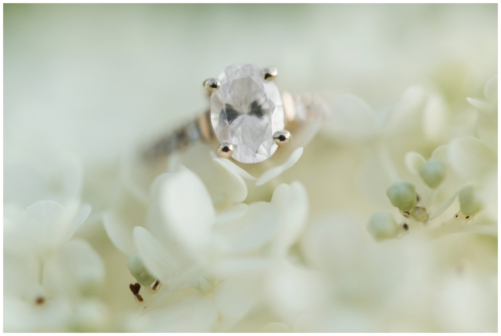 macro detail image of oval diamond engagement ring on white and cream hydrangea petal