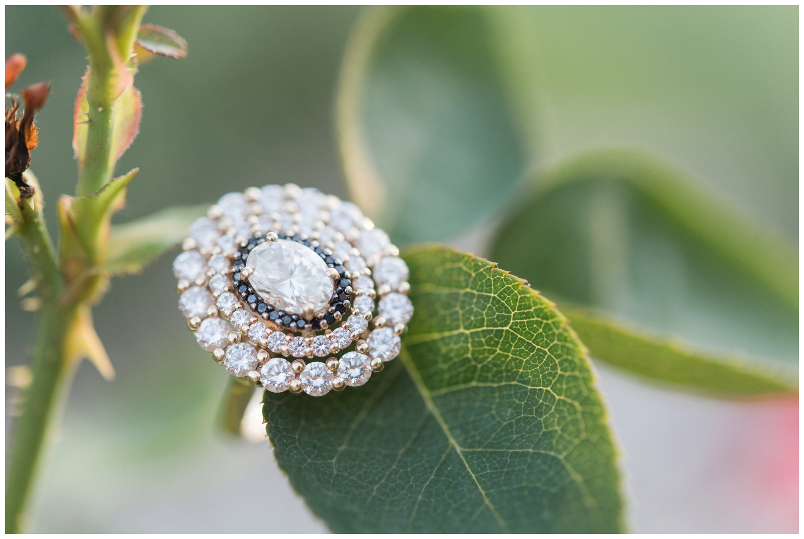 engagement ring with 3 layers of diamonds sits on leaf