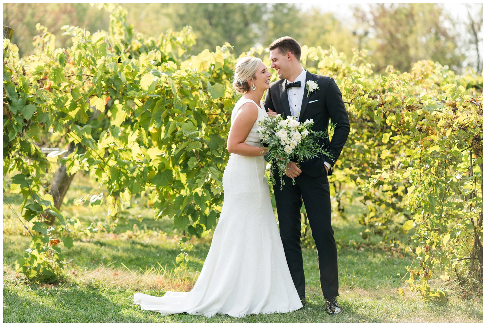 bride and groom laugh during wedding portraits in the grape vines at Gervasi Vineyard