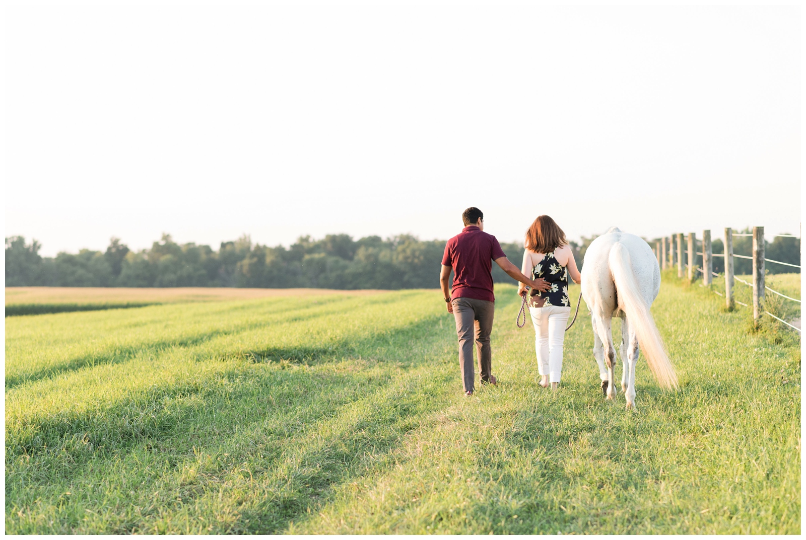 bride, groom, and white horse walk away in Ohio field during engagement session with Pipers Photography