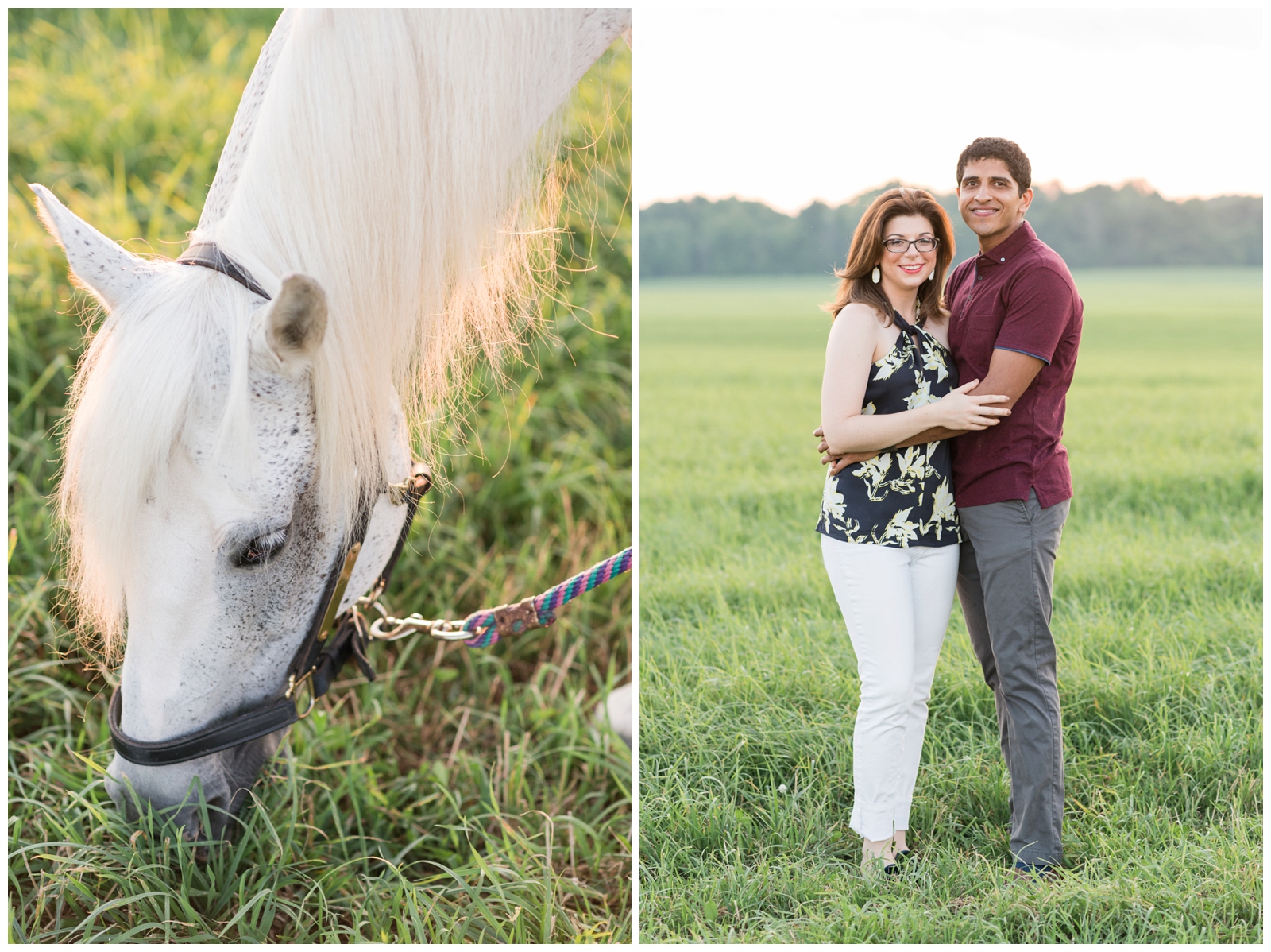 horse eats in field with bride and groom hugging during Ohio engagement session with Pipers Photography