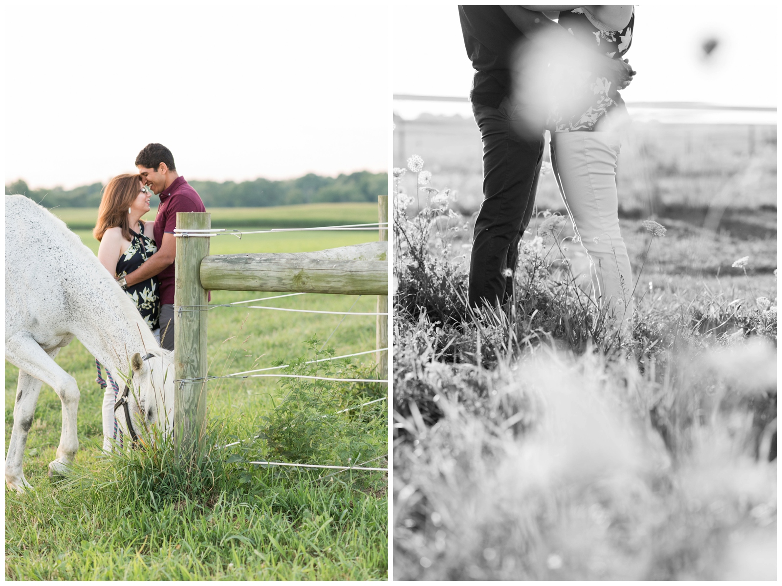 summer engagement session with white horse in Ohio field by Pipers Photography