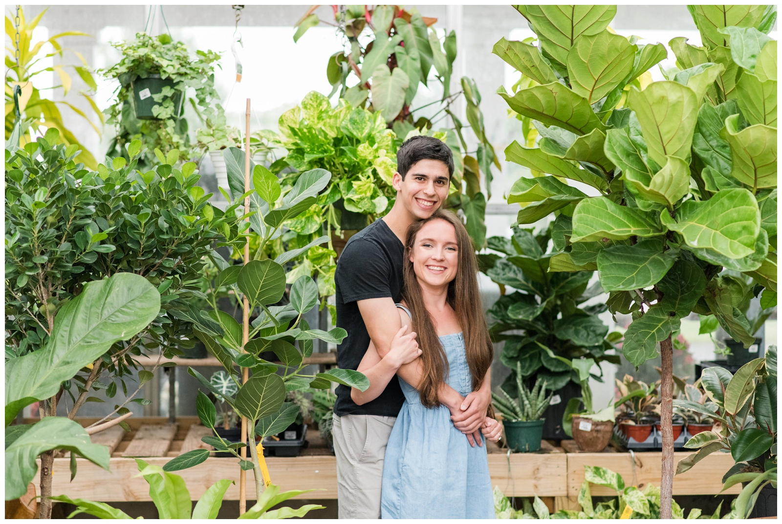 engaged couple hugs among big green leaves in green house during New Albany Ohio engagement session