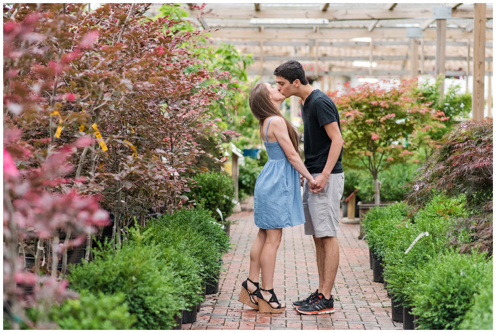 newly engaged couple holds hands and kisses among plants during greenhouse inspired engagement session