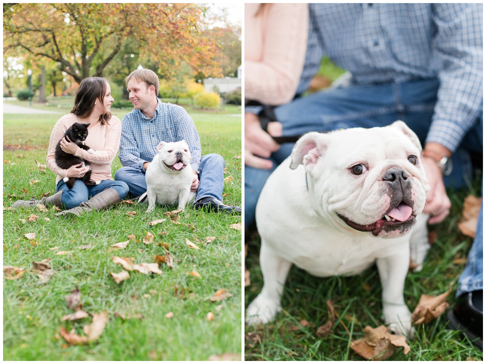 bride and groom to be sit with black and white kitten and white pug during fall engagement session at Franklin Park Conservatory
