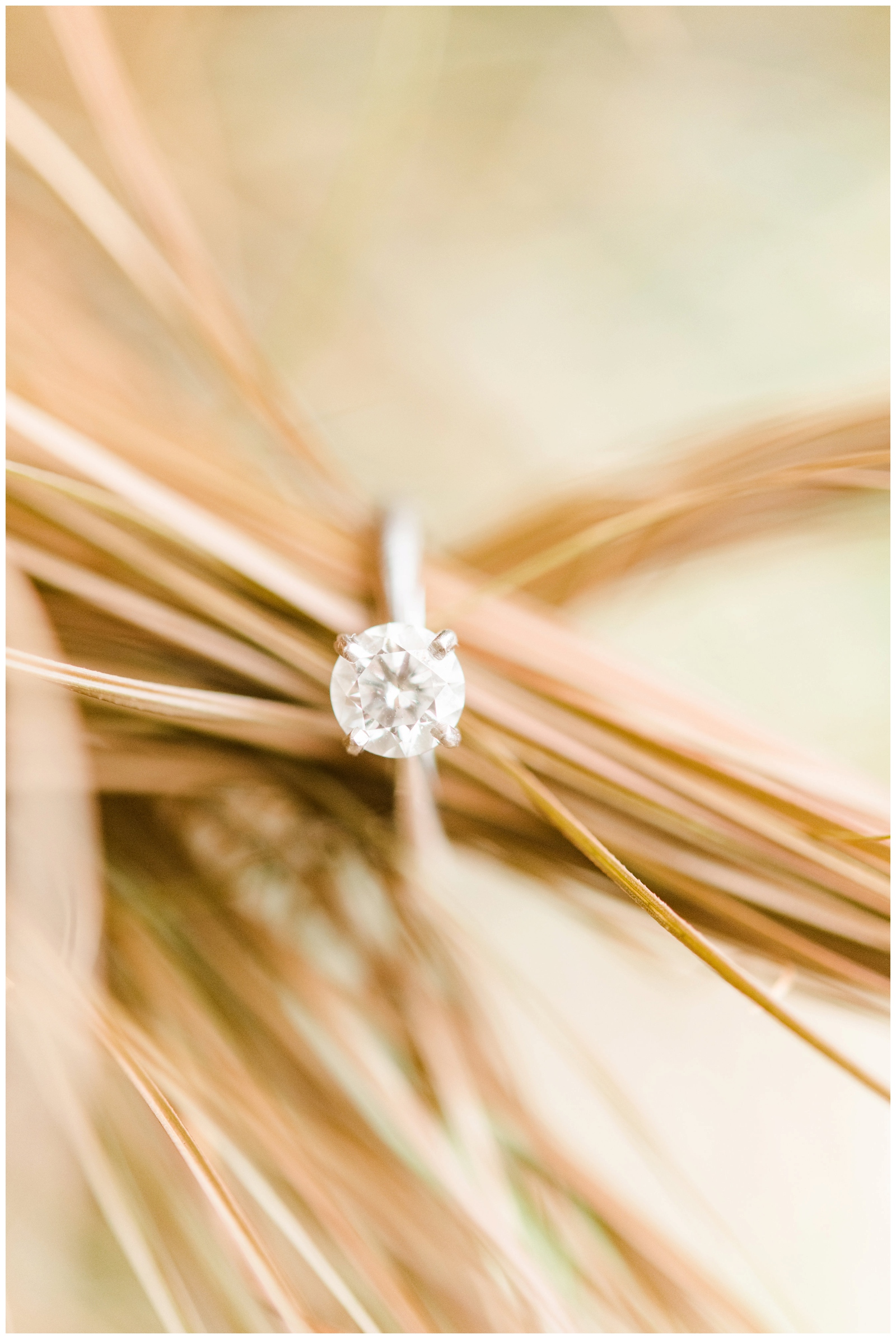 diamond engagement ring with four prongs photographed on pieces of hay