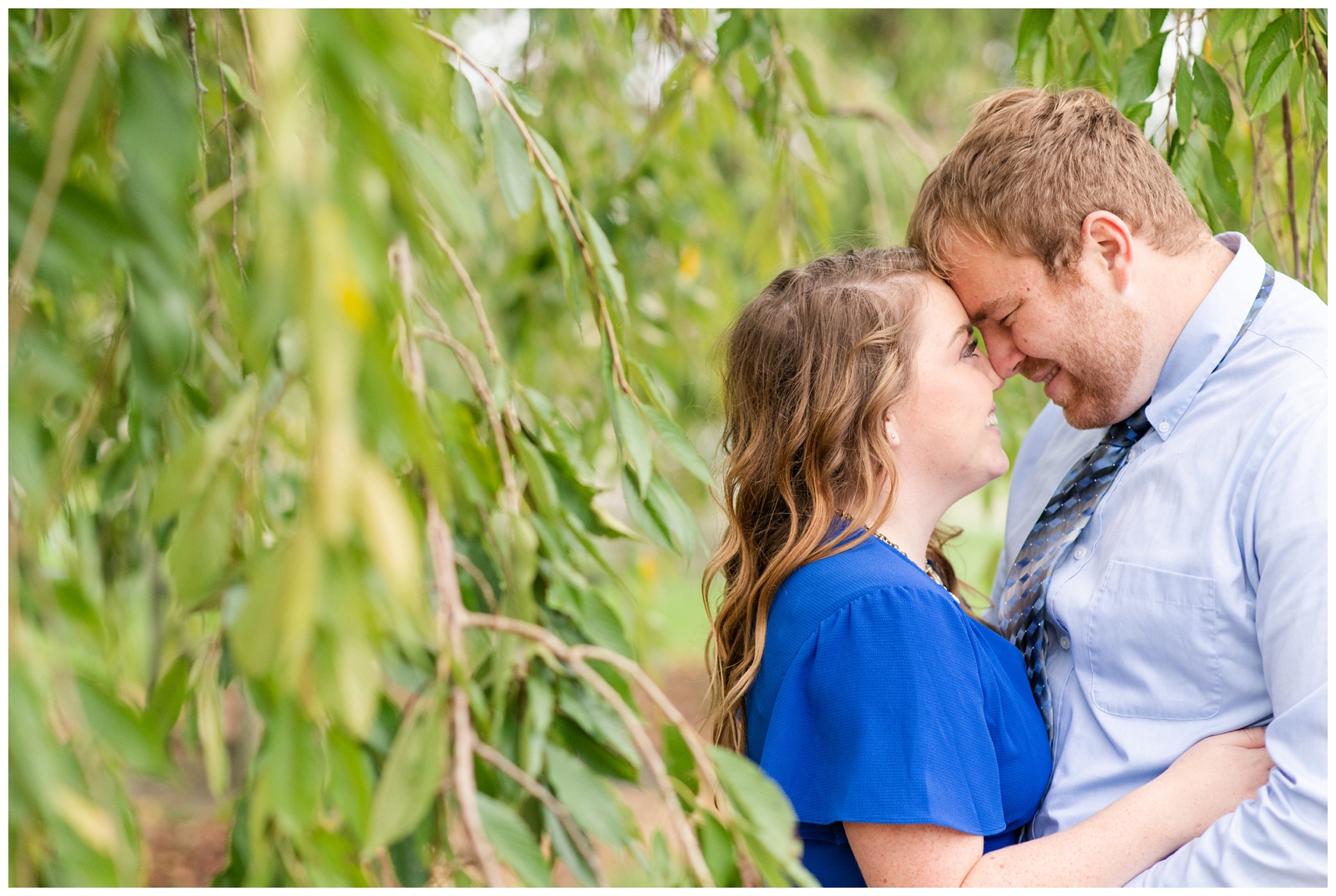 bride and groom touch noses among tree branches in Newark OH during engagement portraits
