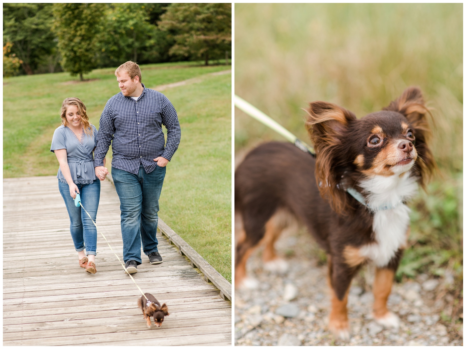 bride and groom hold hands walking dog along wooden walkway at Dawes Arboretum
