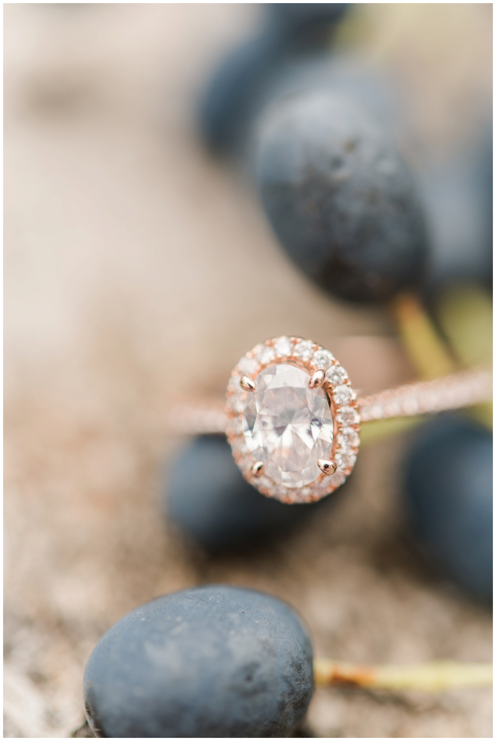oval diamond ring with edge of diamonds rests on seeds at Dawes Arboretum